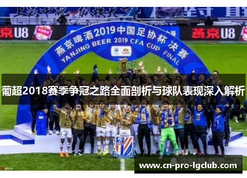 葡超2018赛季争冠之路全面剖析与球队表现深入解析
