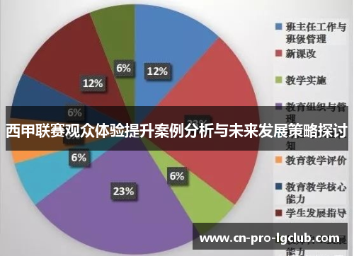 西甲联赛观众体验提升案例分析与未来发展策略探讨