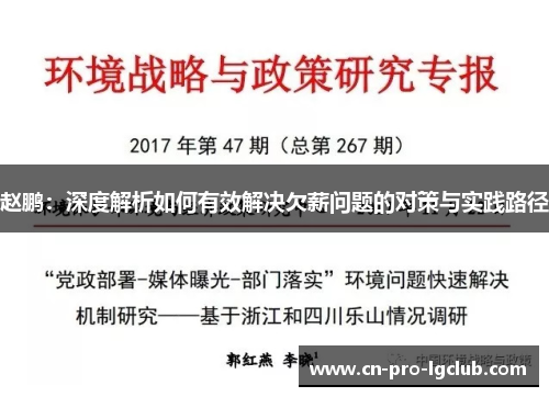 赵鹏：深度解析如何有效解决欠薪问题的对策与实践路径